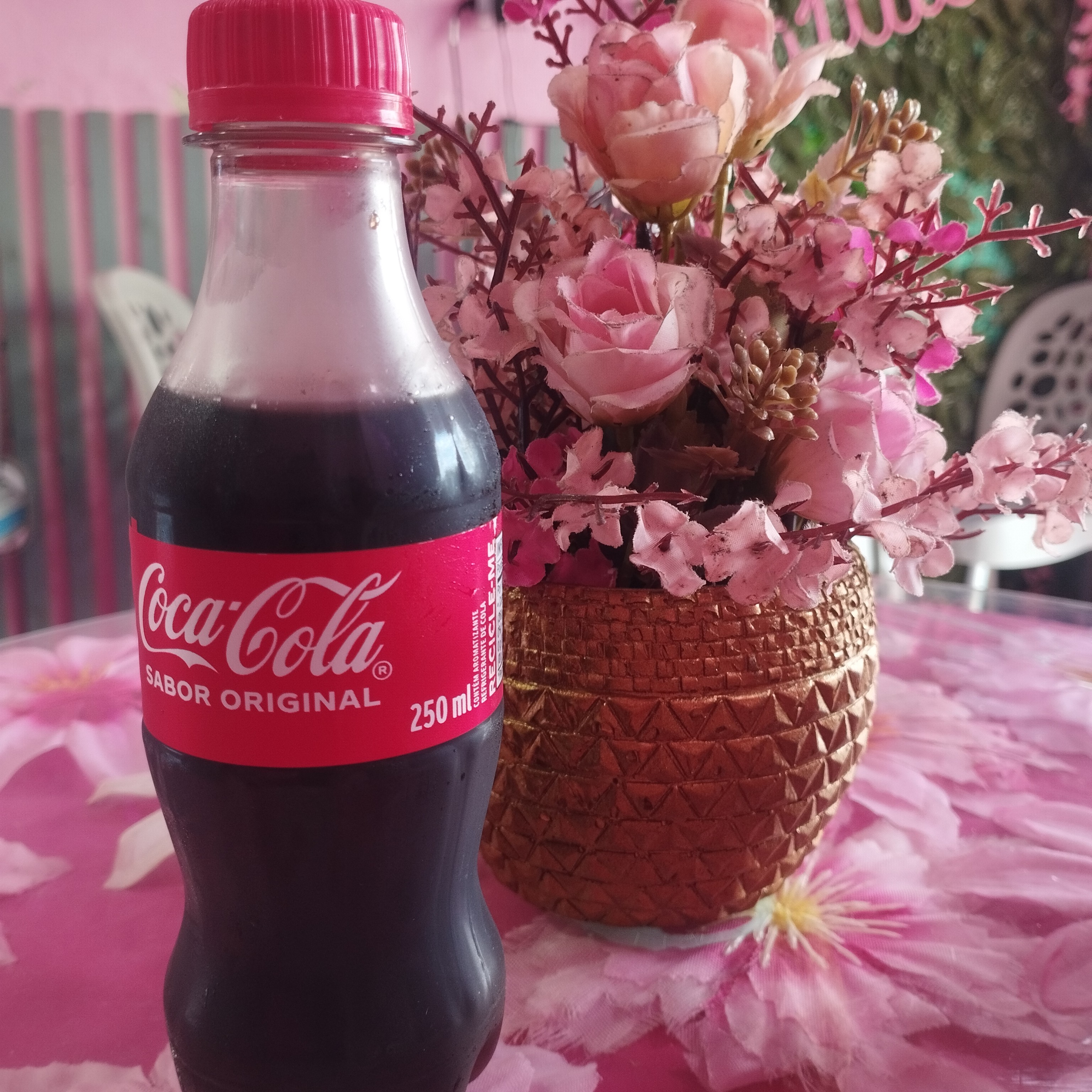 Coca cola mini 250 ml
